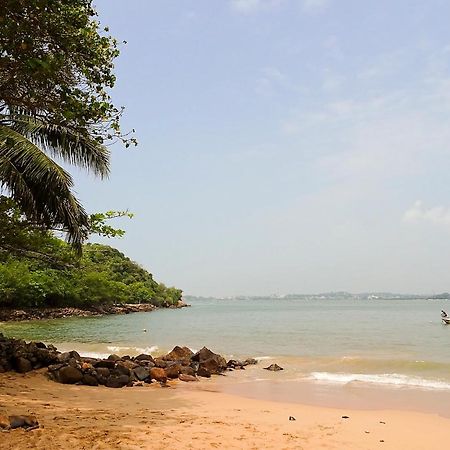 Pineview Hotel Unawatuna Eksteriør billede